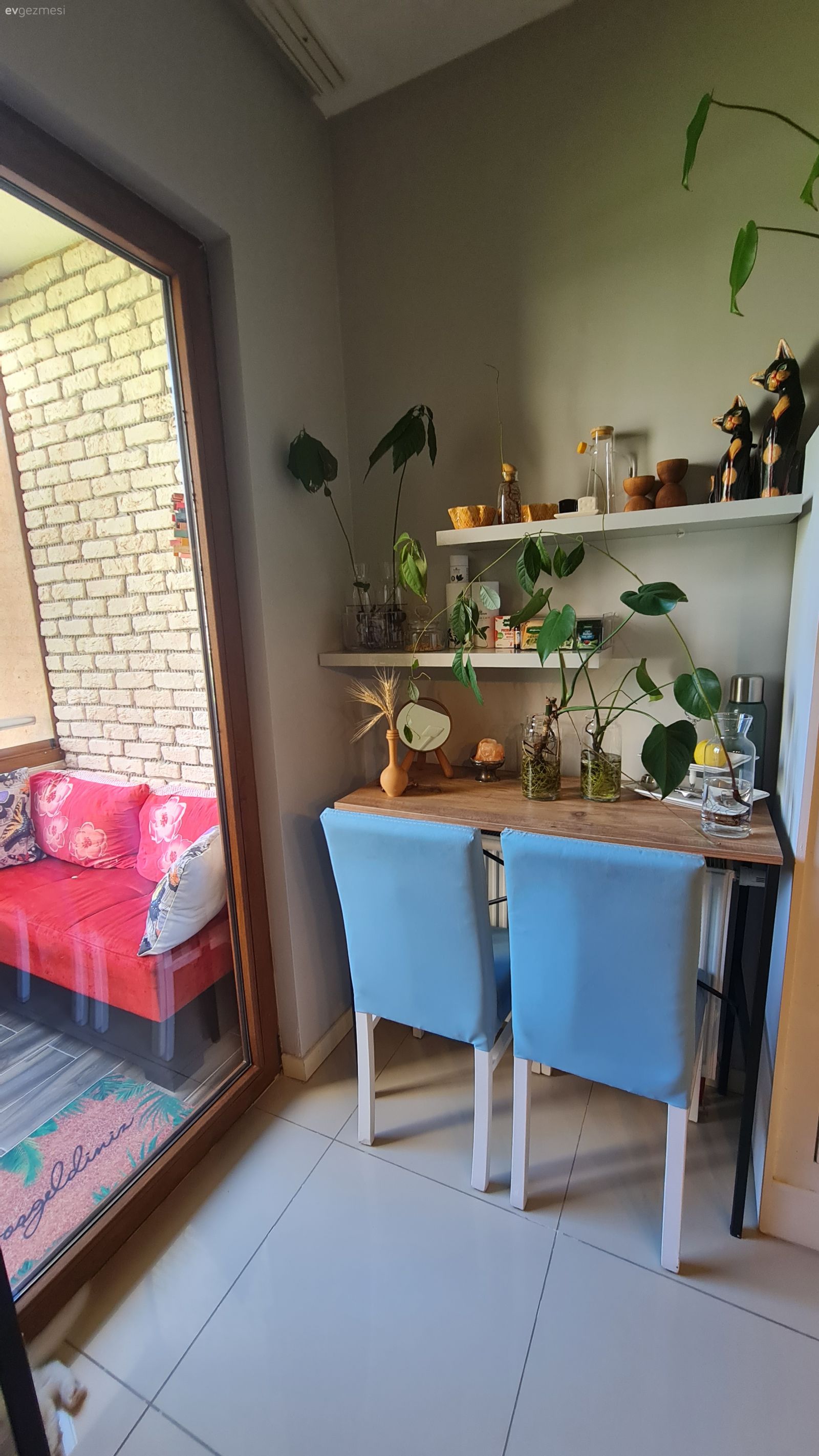 Turkuaz, Mavi, Mutfak rafı, Mutfak, Duvar rafı, Duvar dekorasyonu, Ev bitkisi