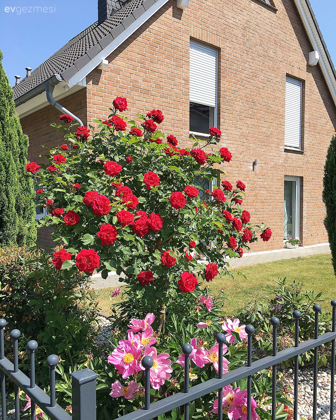 Dubleks evler, Dış cephe, Bahçe, Müstakil Ev