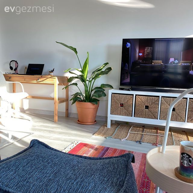 Hasır sepet, Tv ünitesi, Ev bitkisi