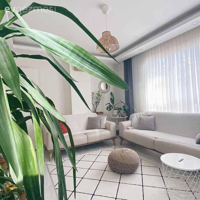 Salon, Modern, Bohem Dekorasyon, Beyaz, Krem, Bej, Koltuk takımı, Berjer, Fon perde, Perde, Tül perde, Halı, Salon halısı, Ev bitkisi, Geometrik desen, Desenler, Hasır avize, Saksı, Dekoratif Objeler