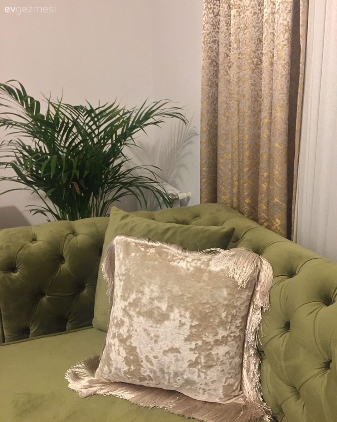 Salon, Yeşil, Bej, Modern klasik, Koltuk takımı, Halı, Salon halısı, Fon perde, Perde, Tül perde, Kırlent, Ev tekstili, Ev bitkisi