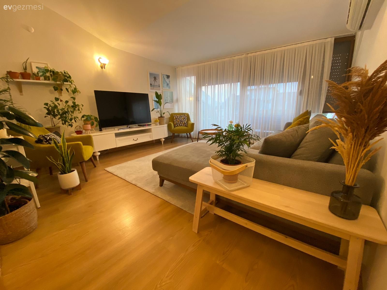 Salon, Modern rustik, Yeşil, Gri, Bej, Beyaz, Vizon, Koltuk takımı, Köşe koltuk, Tv ünitesi, Orta sehpa, Sehpa, Yuvarlak ayna, Dekoratif ayna, Ayna, Halı, Salon halısı, Ev bitkisi