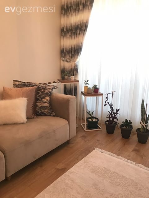 Salon, Gri, Beyaz, Ahşap Mobilya, Koltuk takımı, Kırlent, Ev tekstili, Fon perde, Perde, Tül perde, Sehpa, Yan sehpa, Ev bitkisi, Saksı, Halı