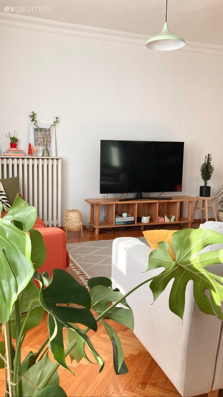 Ahşap Mobilya, Turuncu, Bej, Berjer, Tv ünitesi, Tv ünitesi aksesuarları, Ev Aksesuar, Ev bitkisi, Parke, Beyaz