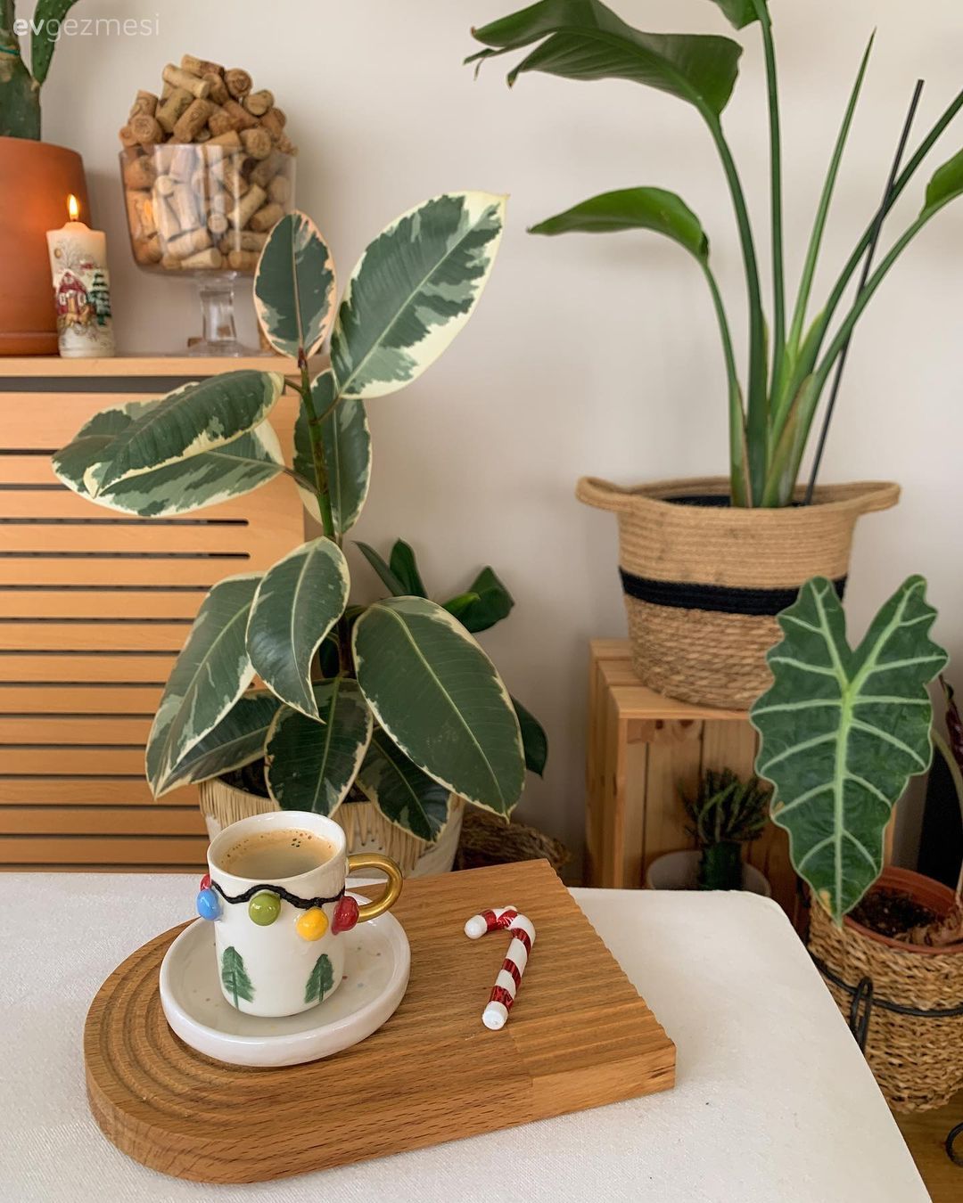 Bu İstanbul Evi "Sıcak" Kelimesinin Sözlük Karşılığı Gibi!