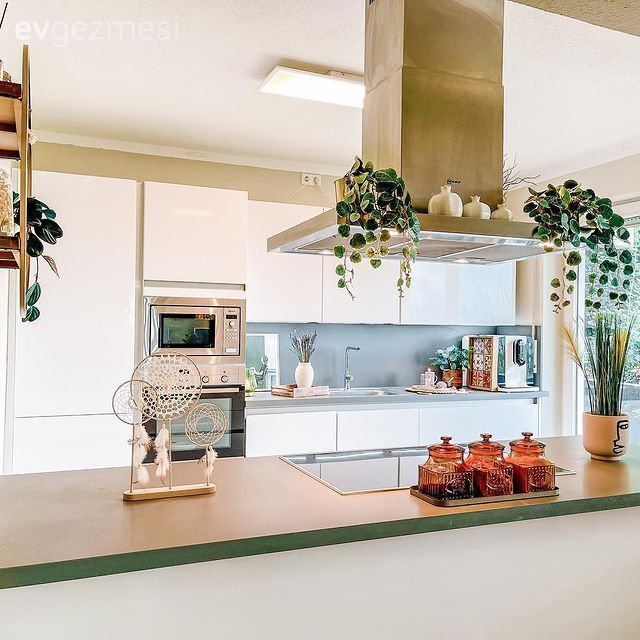 Mutfak, Beyaz, Krem, Mutfak tezgahı, Mutfak tezgah arası, Kulpsuz mutfak dolabı, Davlumbaz, Ev bitkisi, Ankastre