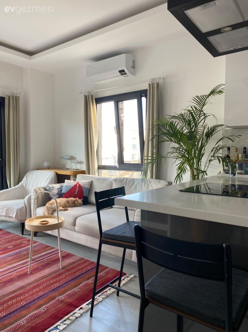 Salon, Gri, Kırmızı, Antrasit  , Siyah, Koltuk takımı, Kilim, Halı, Kırlent, Ev tekstili, Ev bitkisi, Amerikan Mutfak, Mutfak, Fon perde, Perde, Sandalye