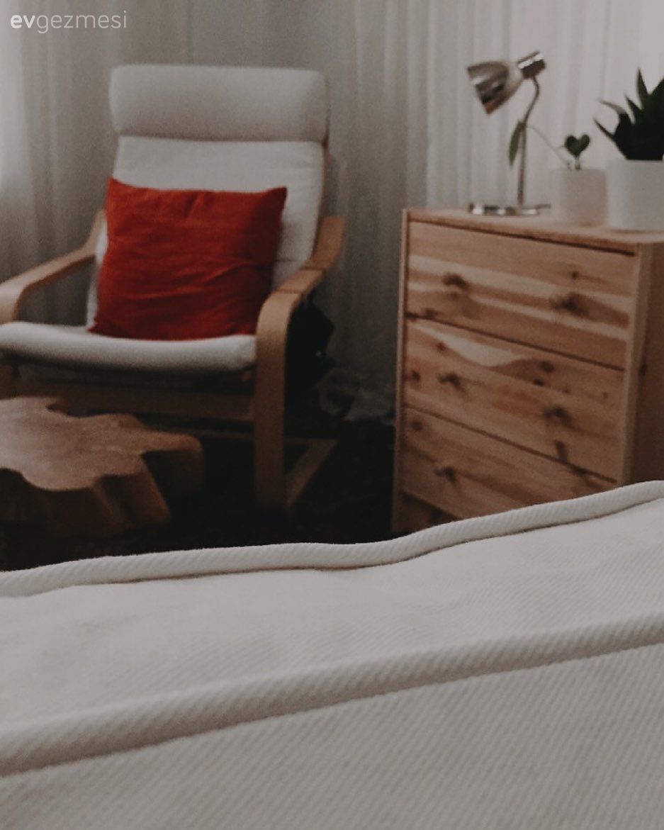 Komodin, Ahşap Mobilya, Berjer, Abajur, Aydınlatma, Saksı, Ev bitkisi