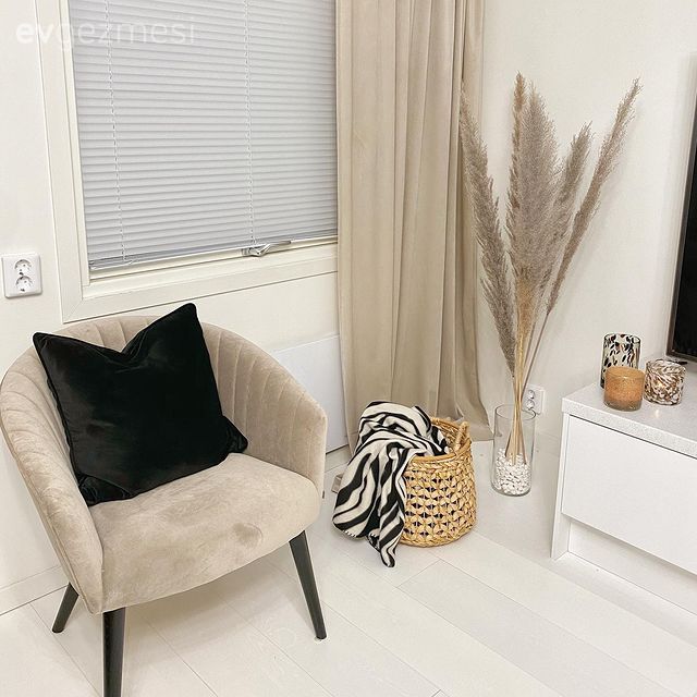 Berjer, Krem, Bej, Beyaz, Pampas otu, Vazo, Ev Aksesuar, Tv ünitesi, Tv ünitesi aksesuarları