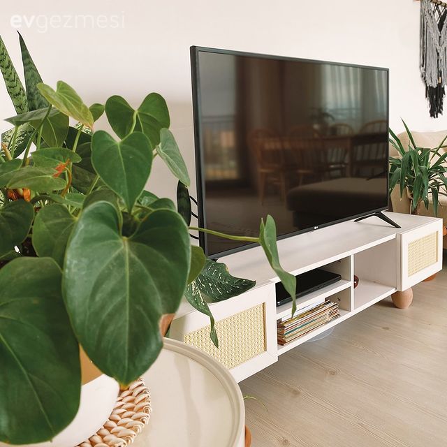 Bohem Dekorasyon, Beyaz, Tv ünitesi, Tv ünitesi aksesuarları, Saksı, Ev bitkisi