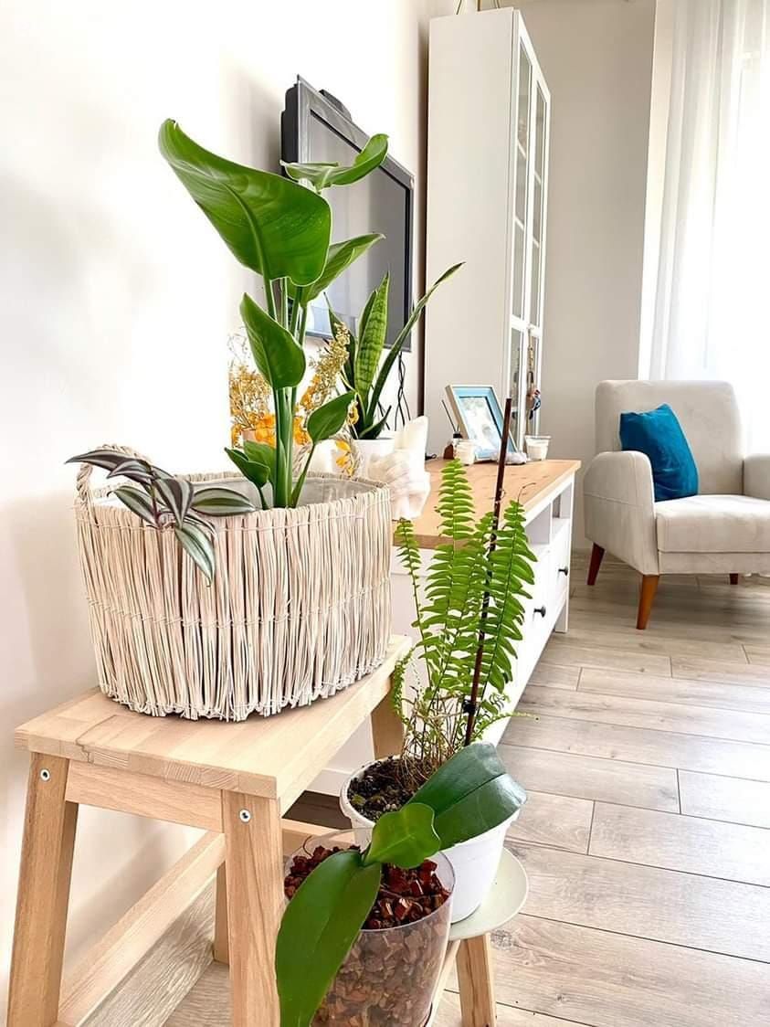 Bu İzmir Evinde Mavinin Enerjisi Kendini Hemen Hissettiriyor!