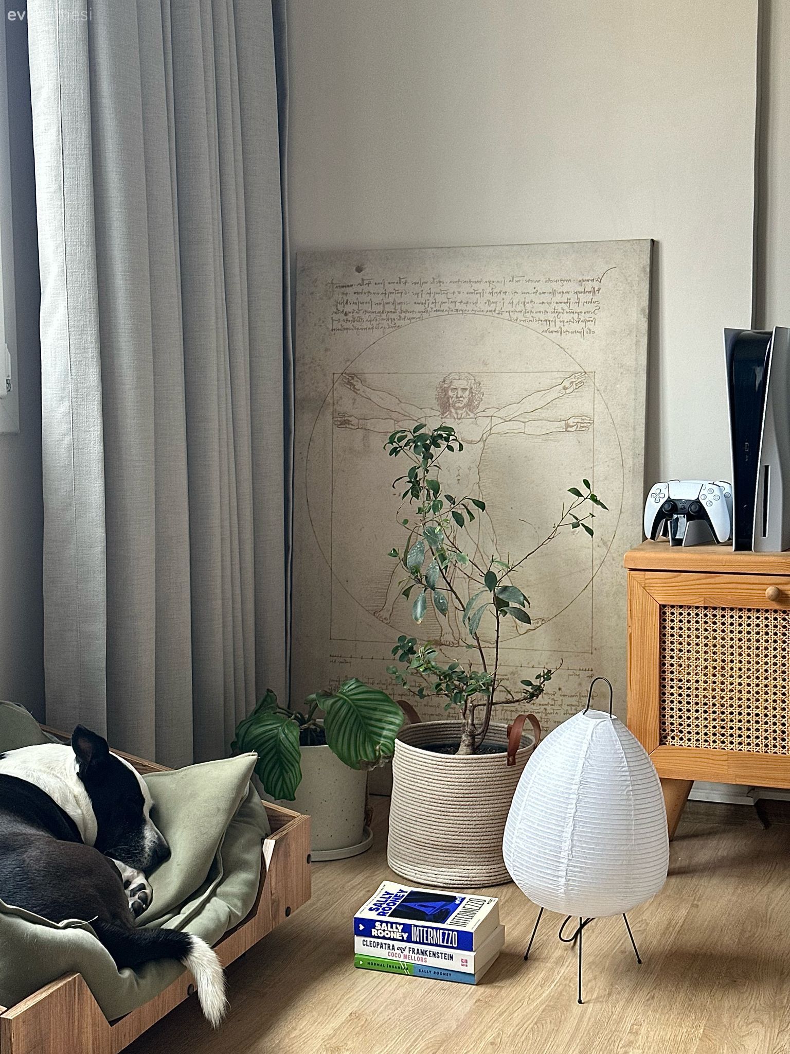 Bu İzmir Evinin Genelinde Salaş Görüntü Hakim