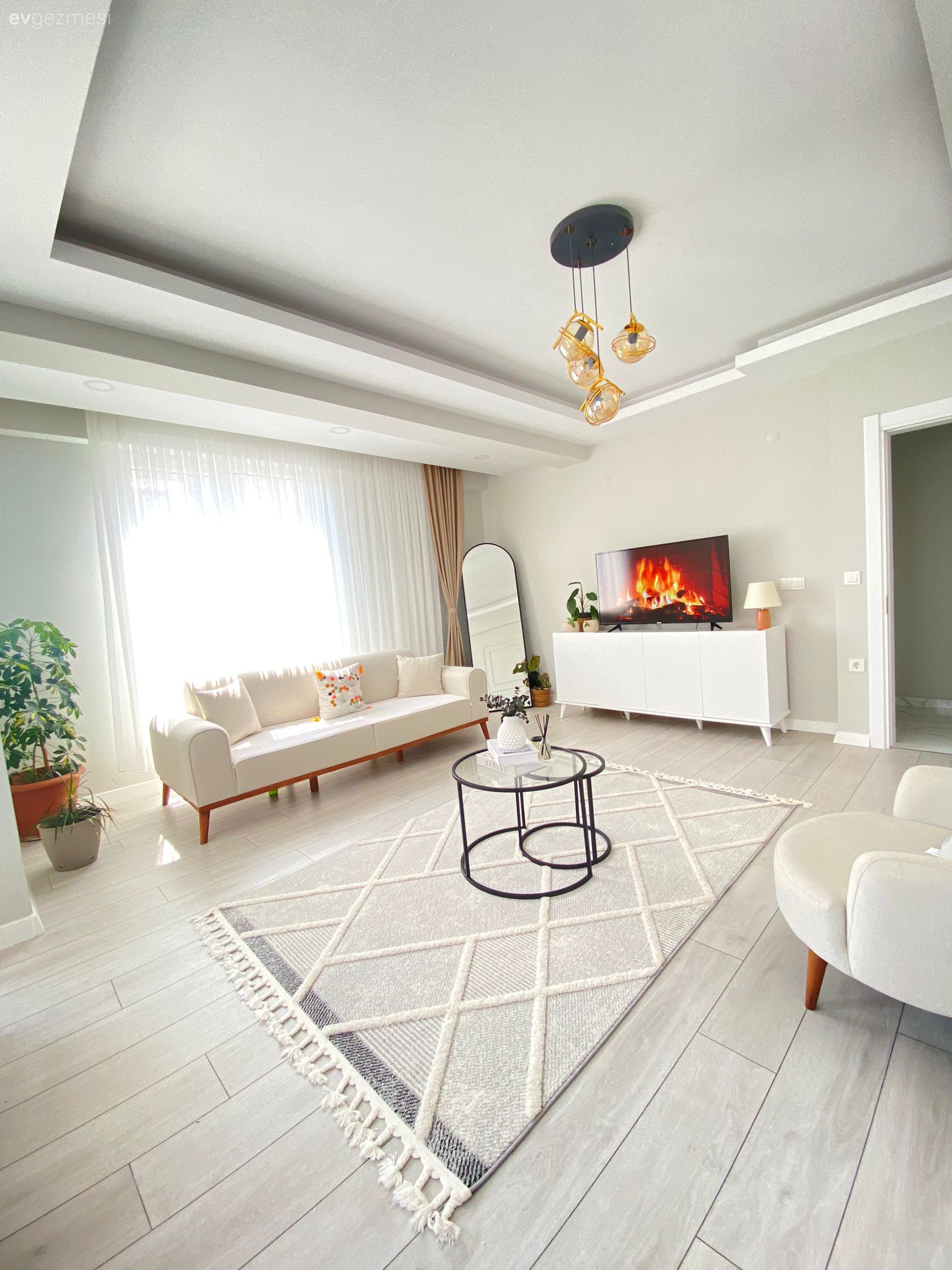 Salon, İskandinav, Modern, Koltuk takımı, Tv ünitesi, Tv ünitesi aksesuarları, Ev Aksesuar, Tül perde, Perde, Saksı, Ev bitkisi, Halı, Salon halısı, Berjer, Boy aynası, Ayna