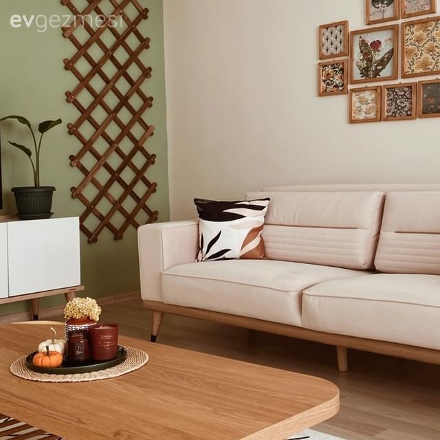 Yeşil duvar, Ahşap Mobilya, Çerçeve, Koltuk takımı, Orta sehpa, Sehpa, Kırlent, Ev tekstili