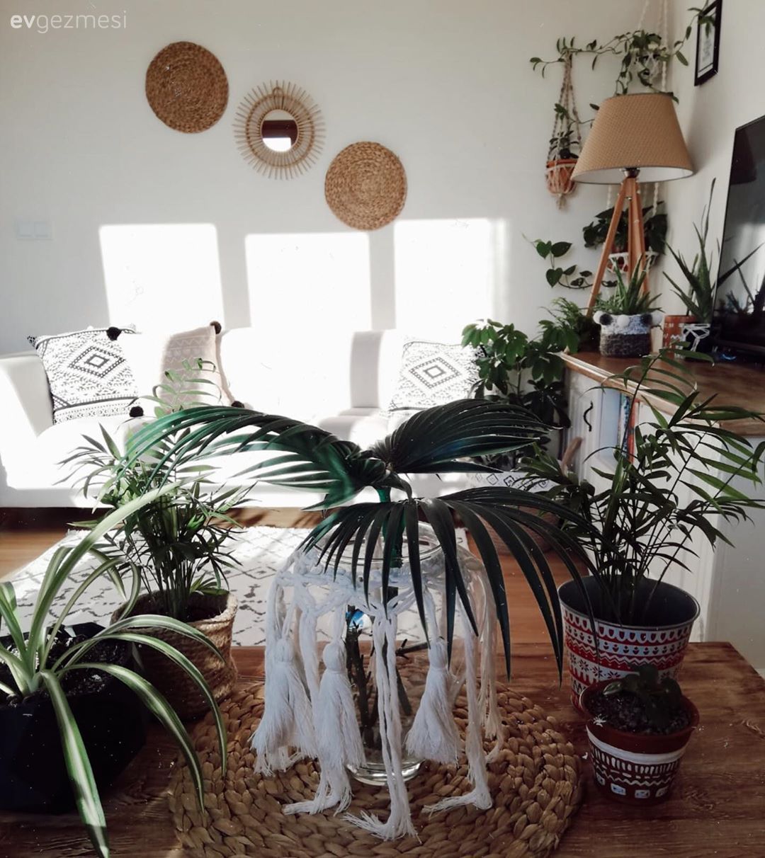 Salon, Bohem Dekorasyon, Ev bitkisi, Saksı, Beyaz, Kahverengi, Ahşap Mobilya, Kırlent, Ev tekstili, Sepet saksı, Hasır, Abajur, Aydınlatma, Tv ünitesi, Duvar dekorasyonu, Koltuk takımı, Tv ünitesi aksesuarları, Ev Aksesuar, Jüt halı, Halı