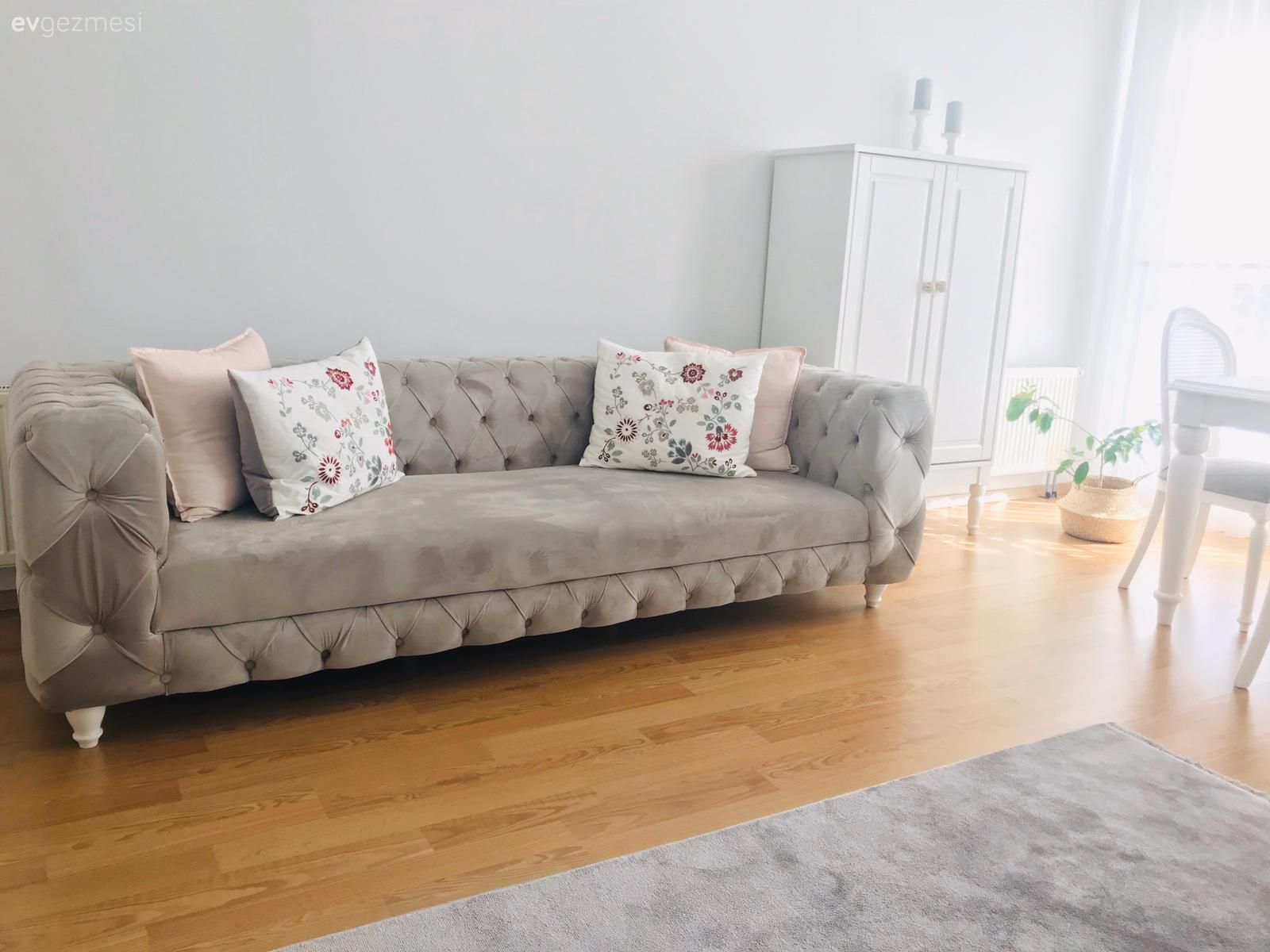Salon, Modern, Bej, Modern chesterfield, Parke, Dolap, Halı, Ev bitkisi, Koltuk takımı