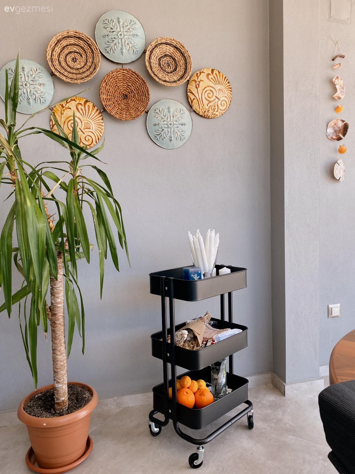 Balkon duvar dekorasyonu, Ev bitkisi, Gri, Siyah, Ev tekstili, Saksı