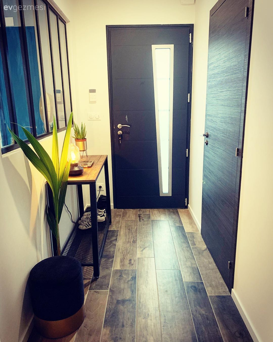 Antre, Dresuar, Saksı, Ev bitkisi, Duvar ayna kaplama, Ayna, Siyah, Mavi, Parke