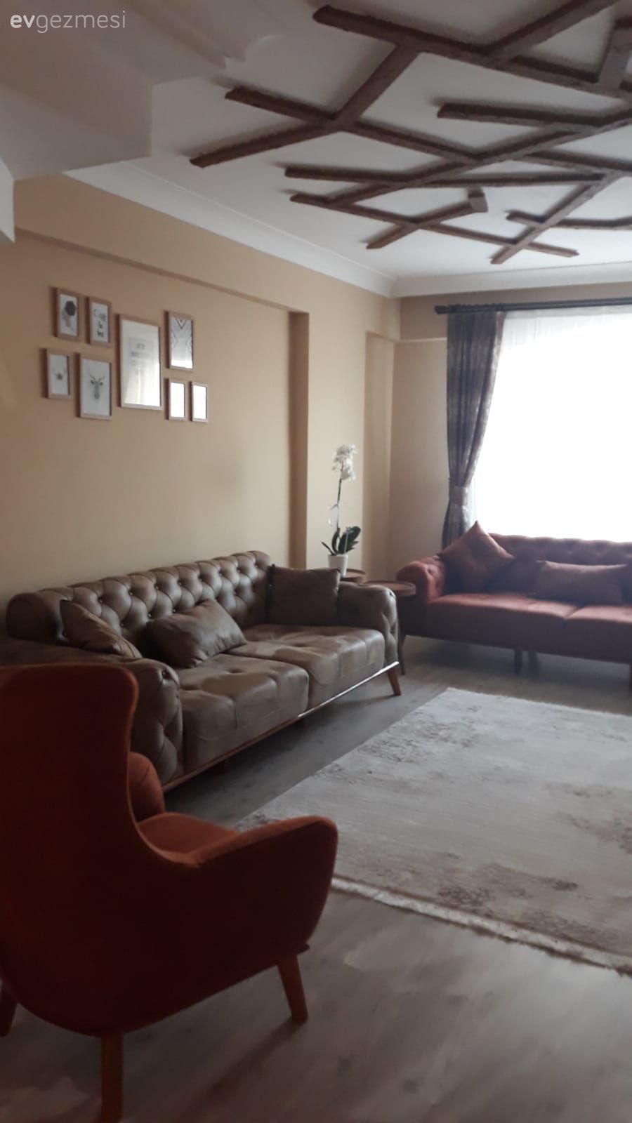 Salon, Rustik, Vizon, Beyaz, Turuncu, Koltuk takımı, Halı