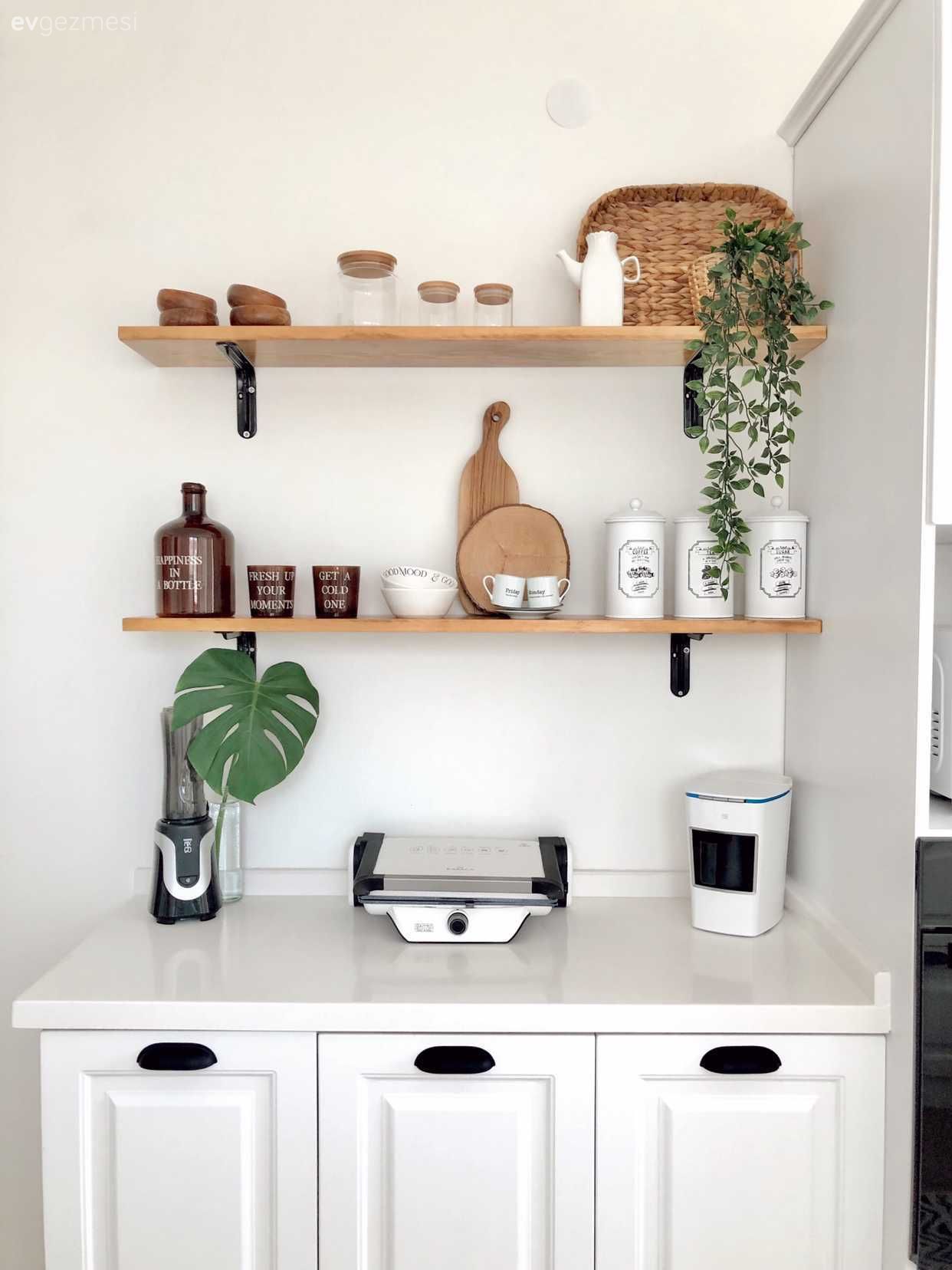 Kahve köşesi, Beyaz, İskandinav, Ev bitkisi