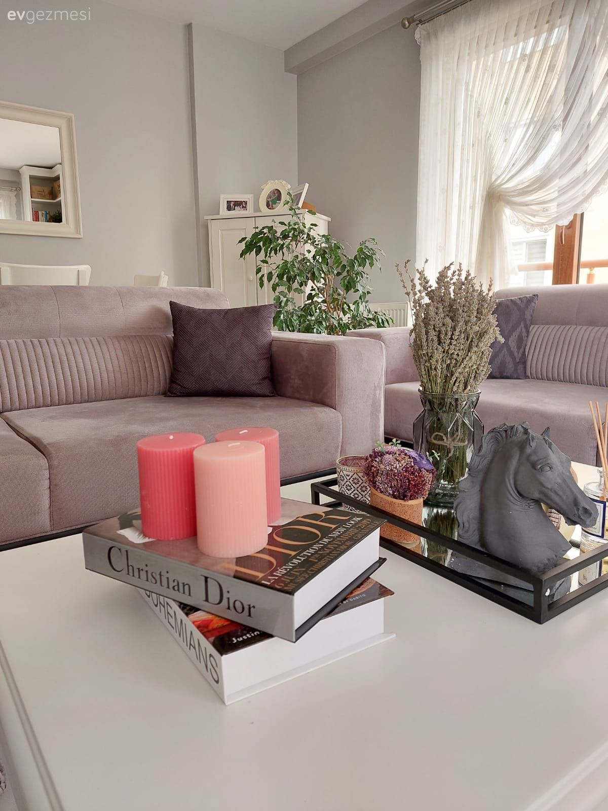 Koltuk takımı, Berjer, Bej, Ev bitkisi, Orta sehpa, Sehpa