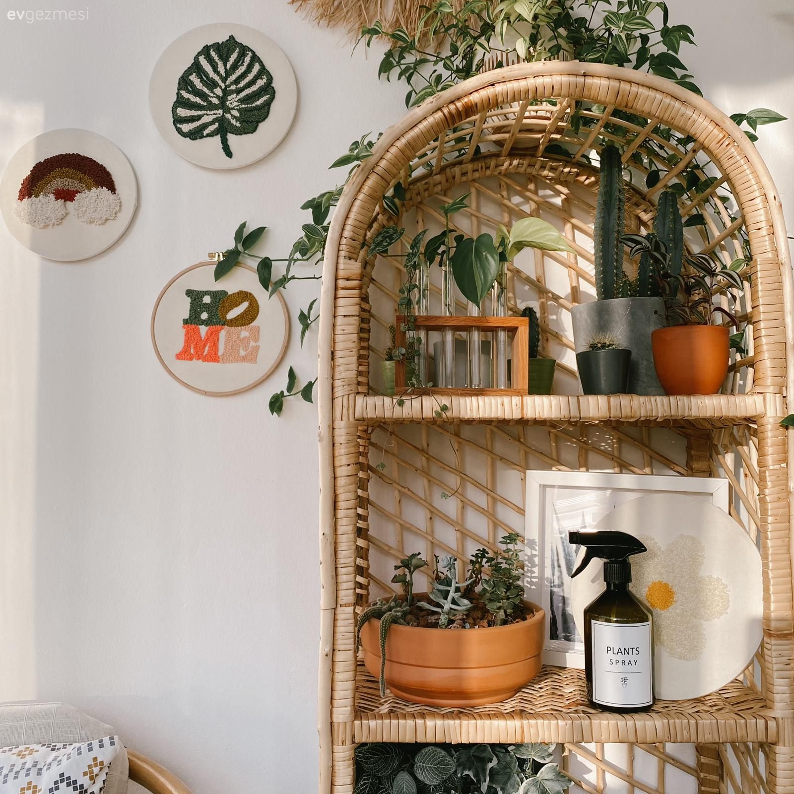 Hasır, Balkon duvar dekorasyonu, Ev bitkisi