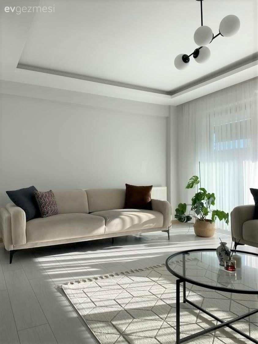 Salon, Tül perde, Perde, Krem, Bej, Koltuk takımı, Saksı, Ev bitkisi, Halı, Salon halısı, Cam orta sehpa, Orta sehpa, Avize, Aydınlatma, Salon avizesi