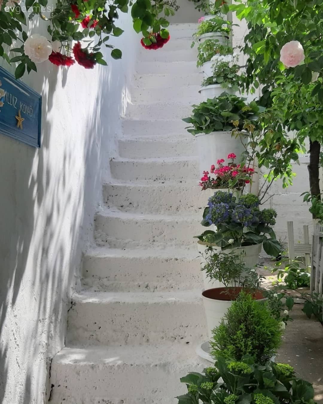 Bahçe, Beyaz, Çiçekler, Peyzaj, Pembe