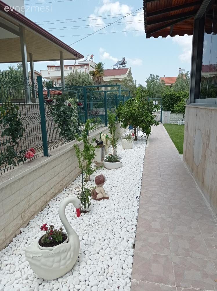 Bahçe, Saksı, Ev bitkisi