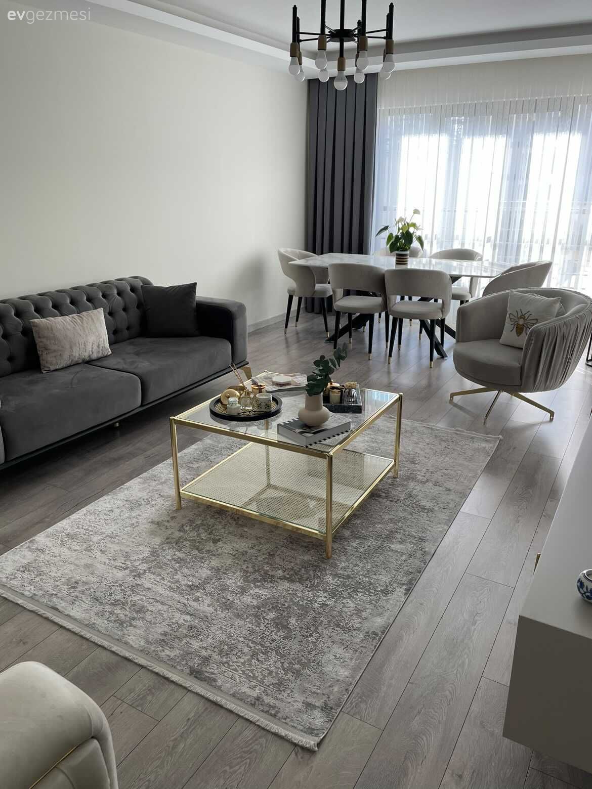 Salon, Modern, Gri, Bej, Altın, Koltuk takımı, Berjer, Sandalye, Yemek masası, Halı, Orta sehpa, Sehpa, Avize, Aydınlatma, Salon avizesi, Fon perde, Perde, Tül perde, Ev bitkisi, Parke