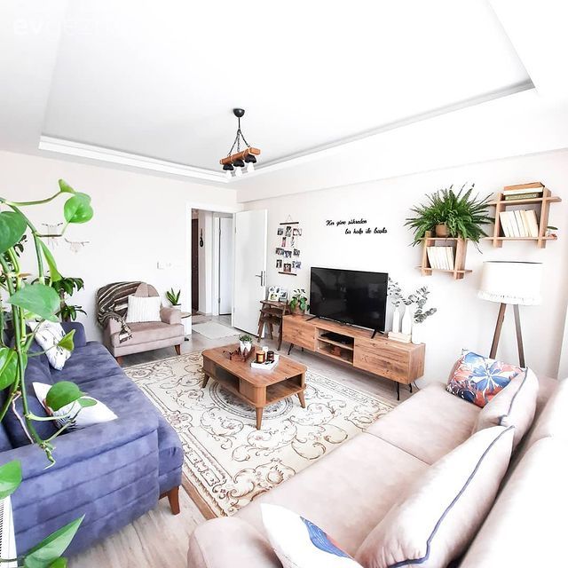 Salon, Koltuk takımı, Krem, Mavi, Beyaz, Ev bitkisi, Ahşap Mobilya, Halı, Salon halısı, Orta sehpa, Sehpa, Duvar rafı, Duvar dekorasyonu, Lambader, Aydınlatma, Avize, Berjer, Kırlent, Ev tekstili, Rustik, Tv ünitesi, Tv ünitesi aksesuarları, Ev Aksesuar, Vizon, Bohem Dekorasyon, Kahverengi