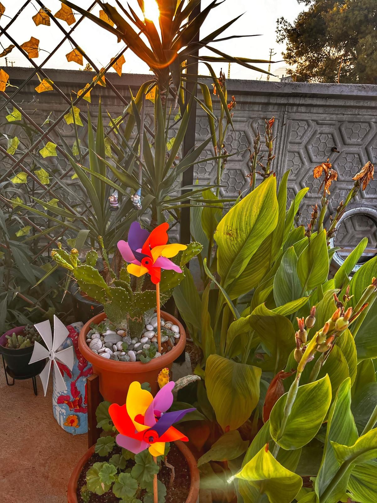 Bahçeye Yapılan Bu Tek Odalı Ev Tatillerde Kaçış Mekânı