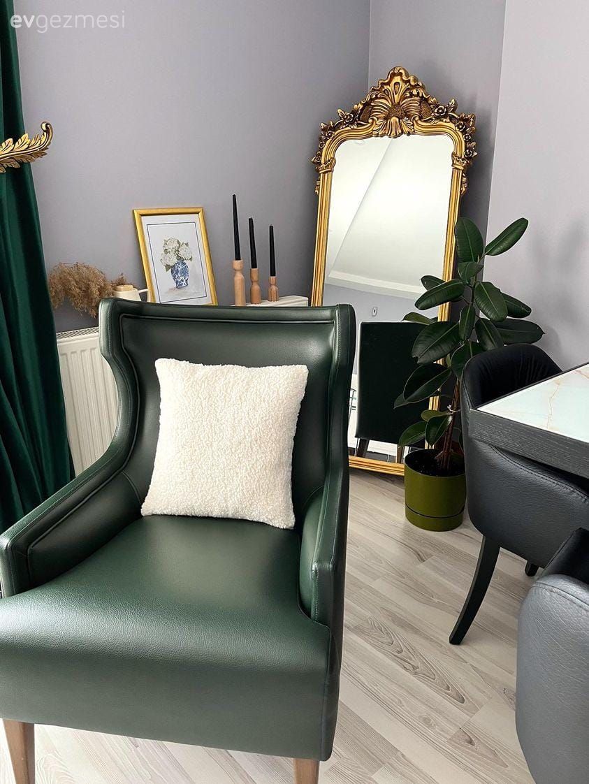 Boy aynası, Ayna, Yeşil, Gri duvar, Berjer, Saksı, Ev bitkisi