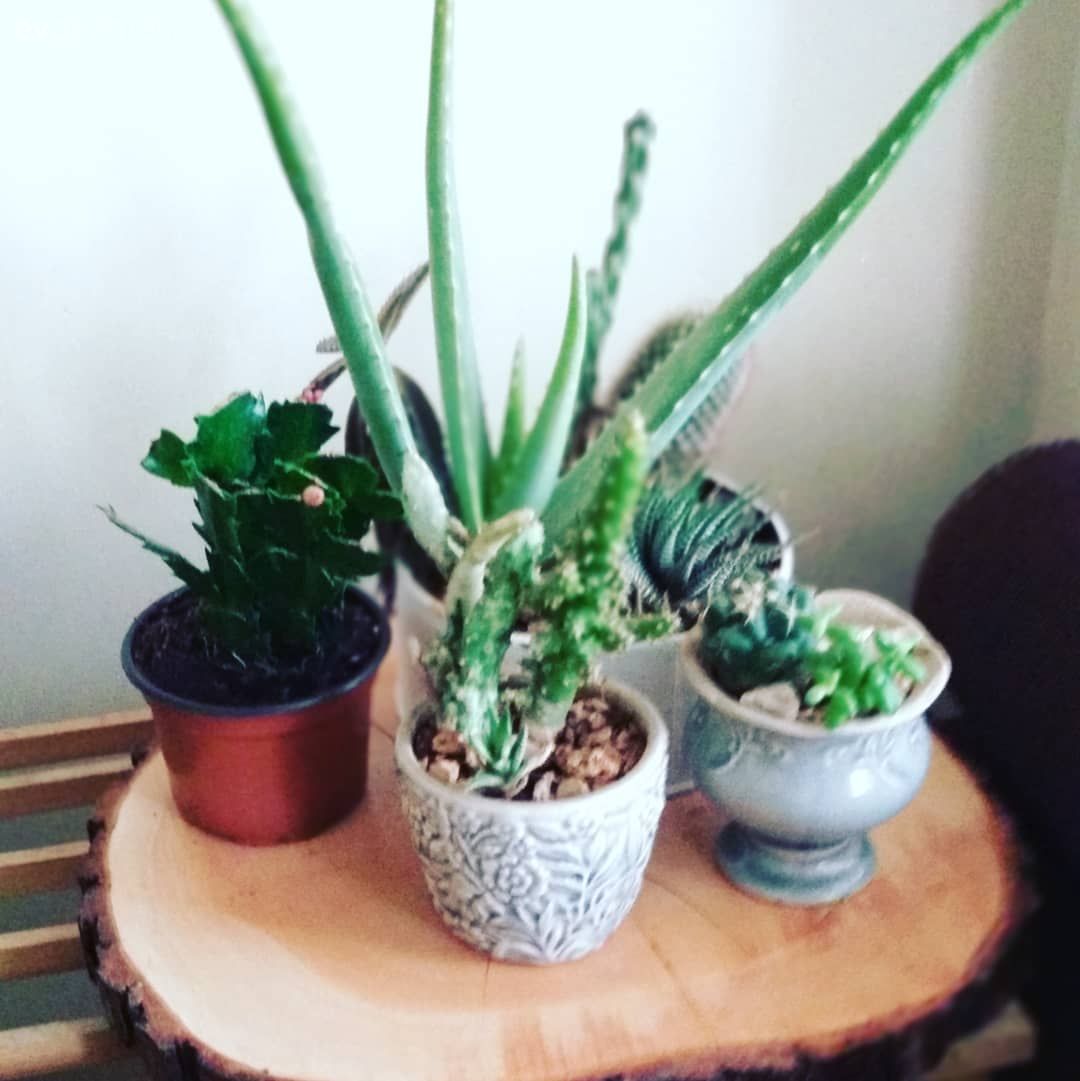 Ev Gezmesi: Modern ve Rustik Detayların Sıcacık Buluşması