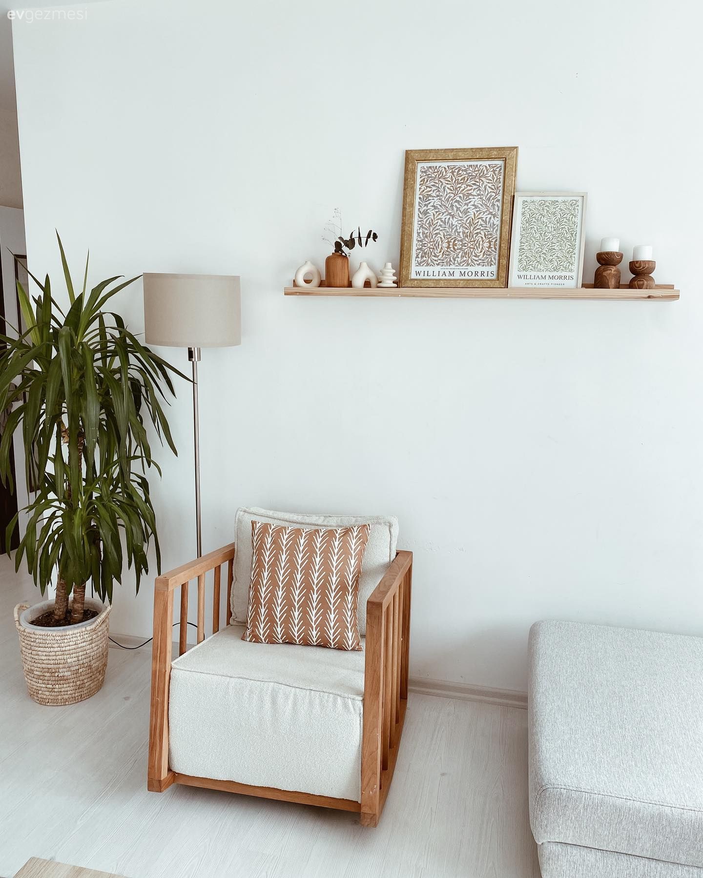 Berjer, Beyaz, Krem, Duvar rafı, Duvar dekorasyonu, Ev bitkisi