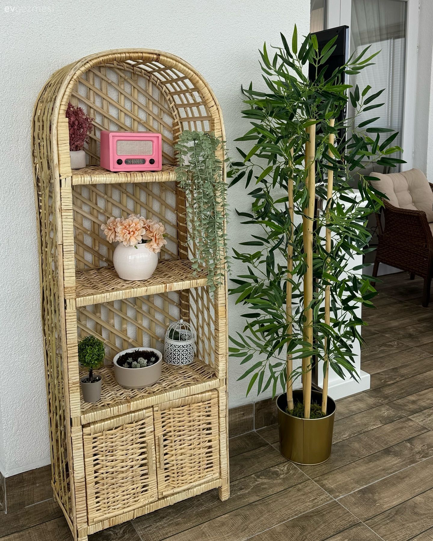 Hasır dolap, Saksı, Ev bitkisi