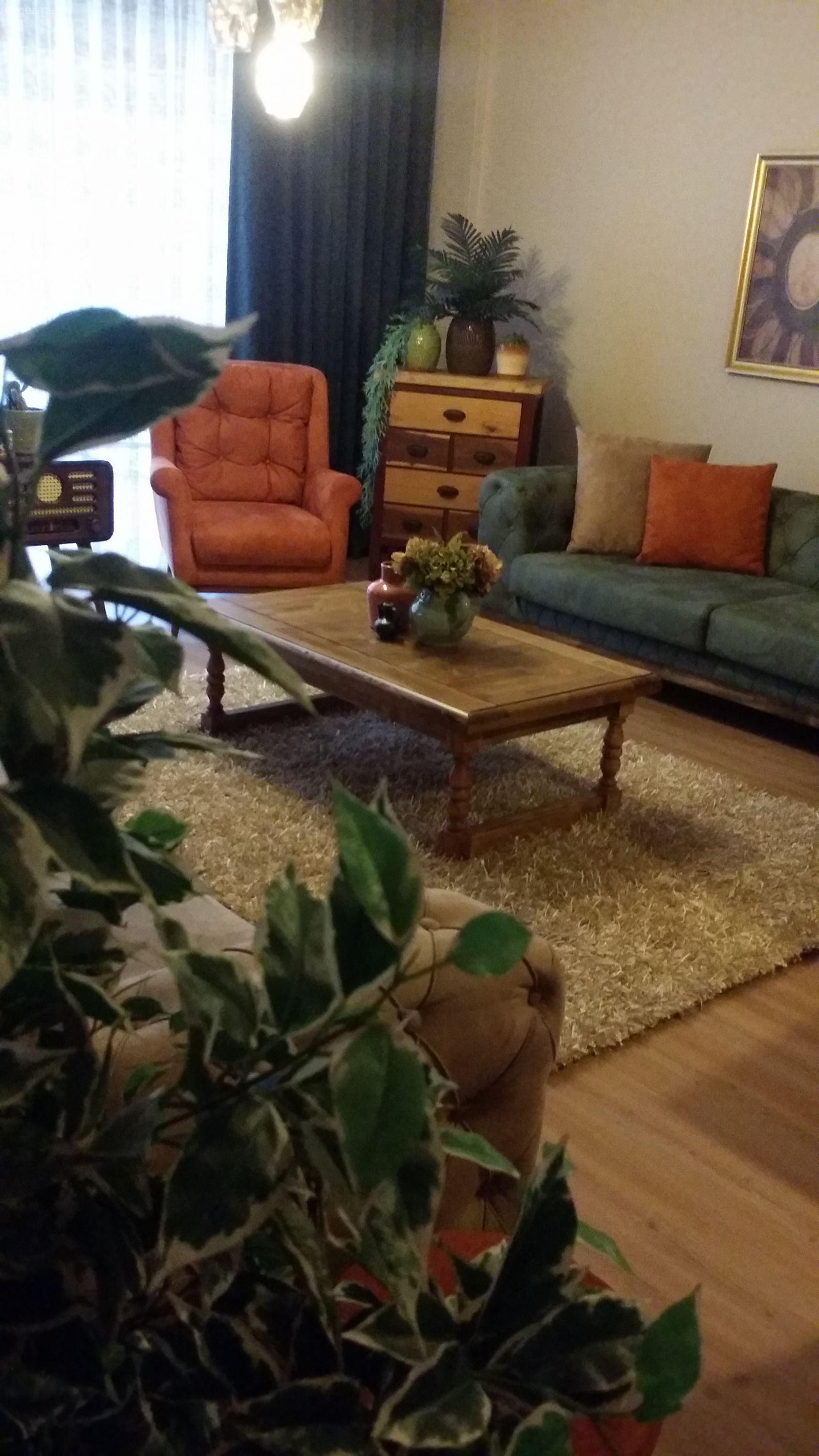 Salon, Yeşil, Turuncu, Modern klasik