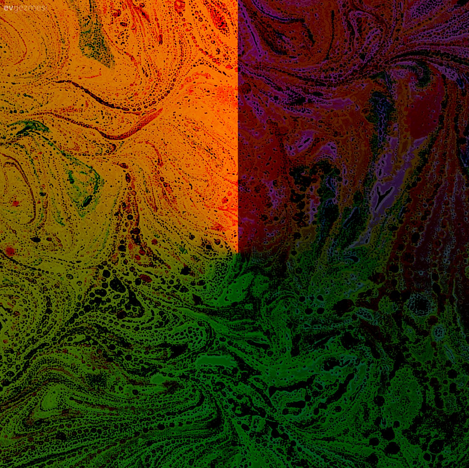 İç dekorasyon Duvar resimleri