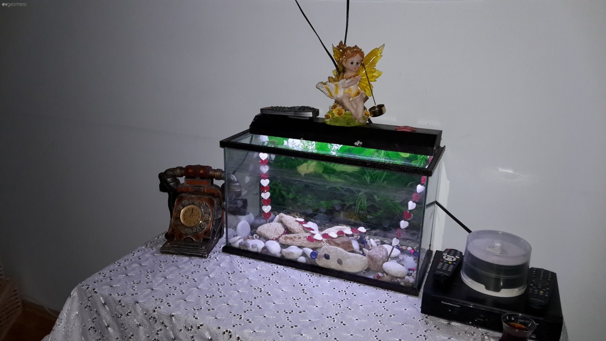 Odadaki son durum ☺