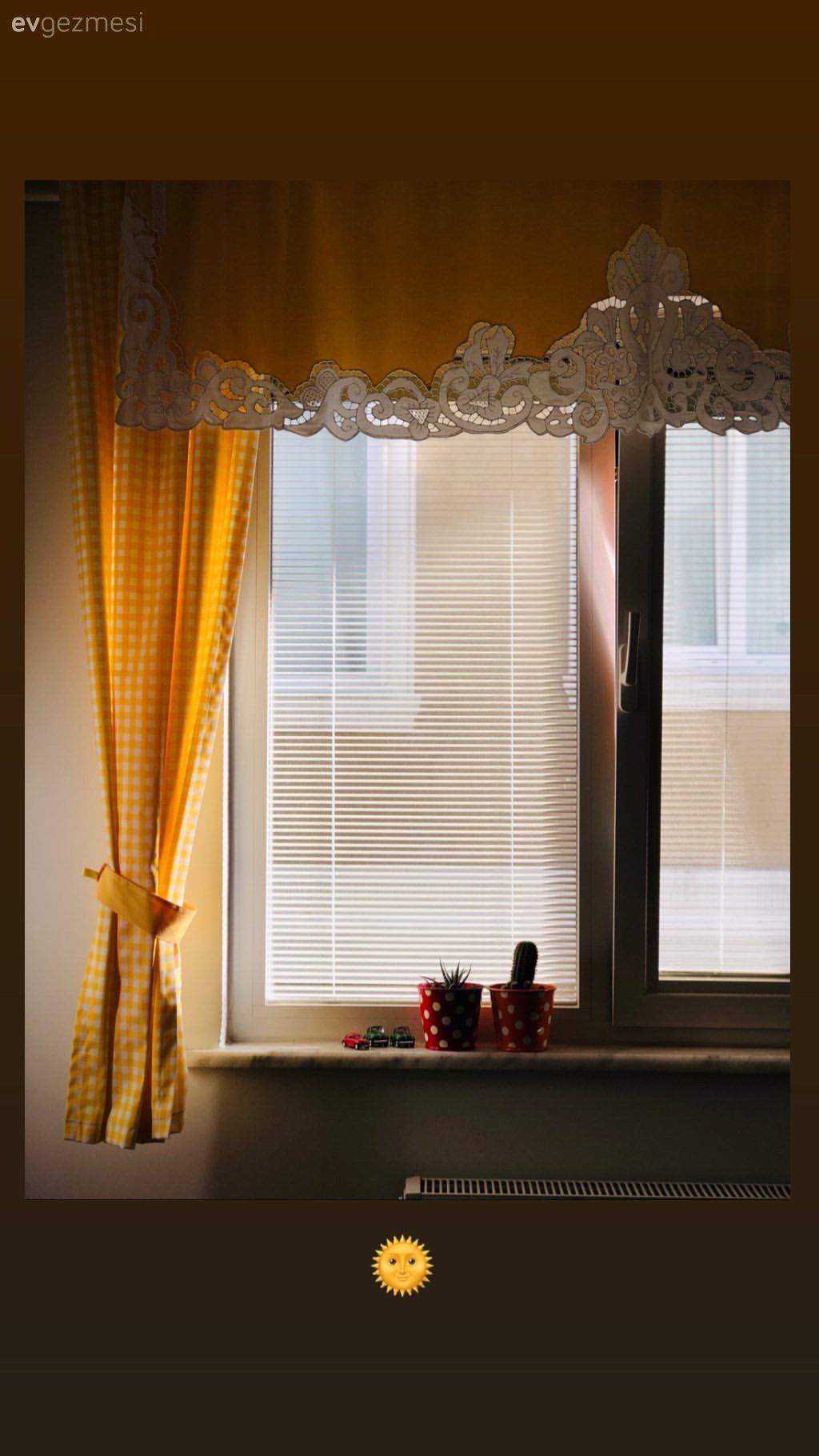 Yeşil duvarlı Ev devamı