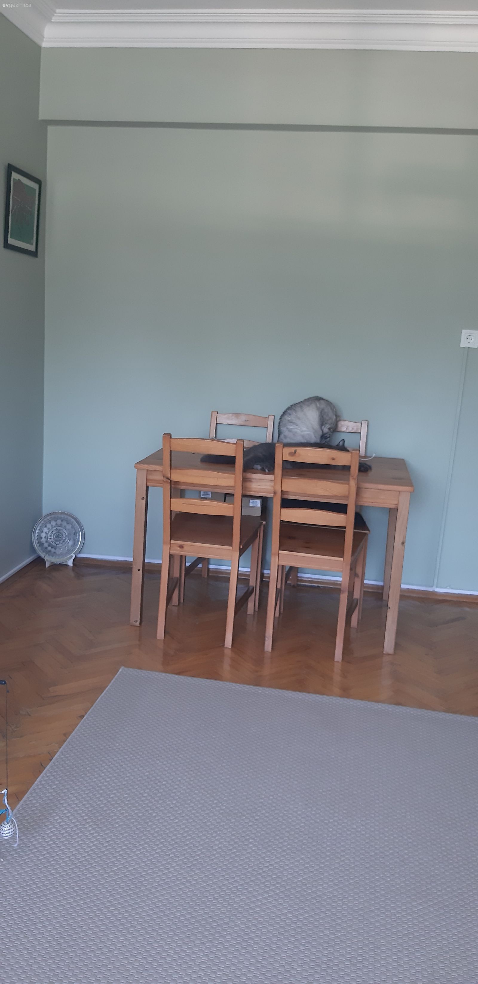 Oturma odam ile ilgili yardım