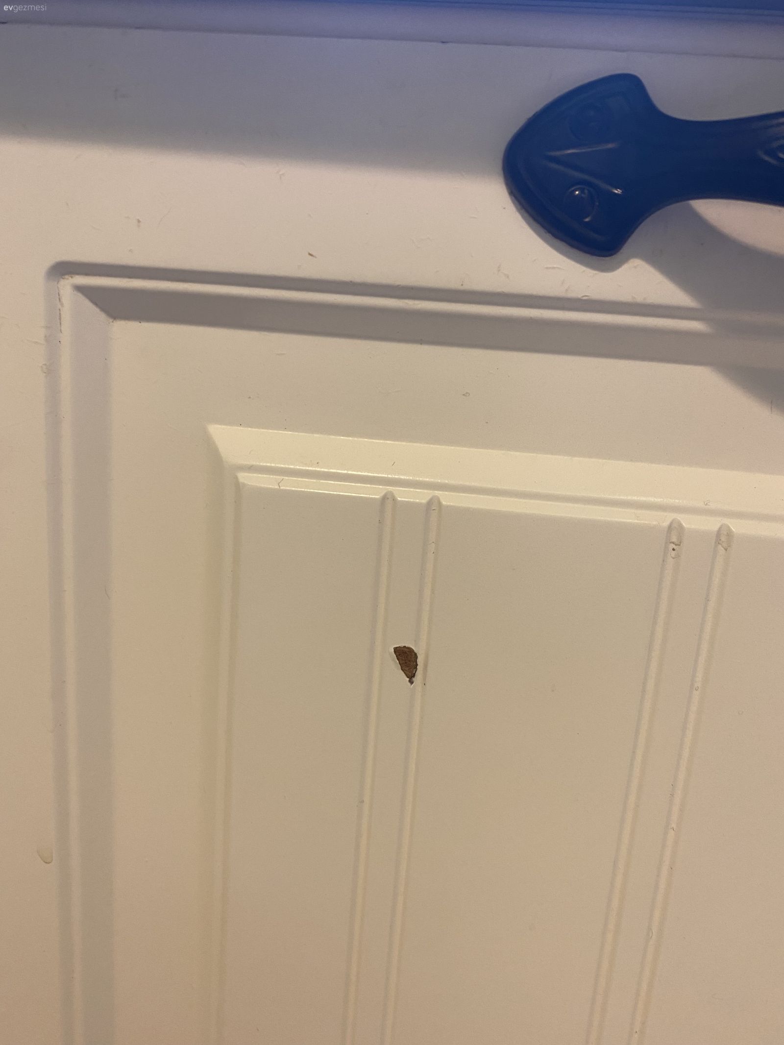 Ahşap Mutfak dolabı / Boya ile yama