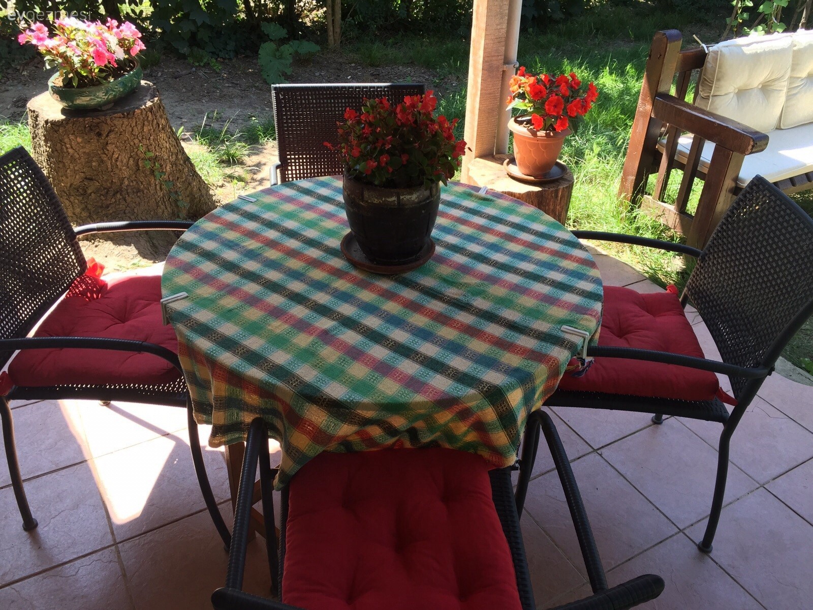 Kırmızı çiçekli bahçem