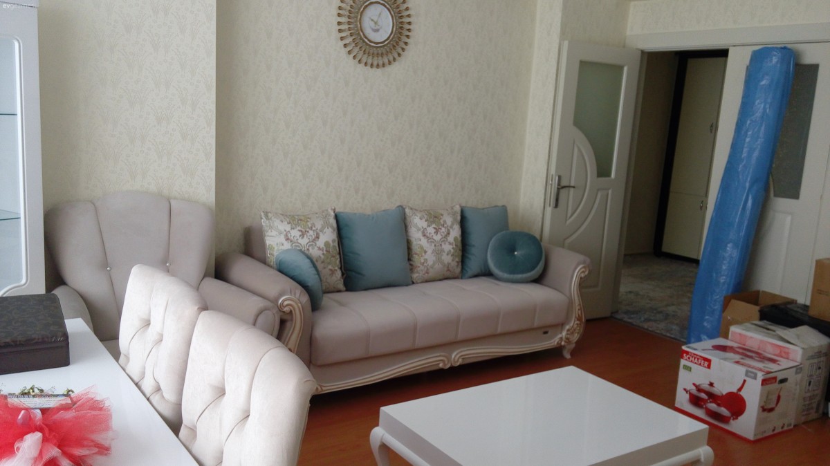 salonum ile ilgili yardim