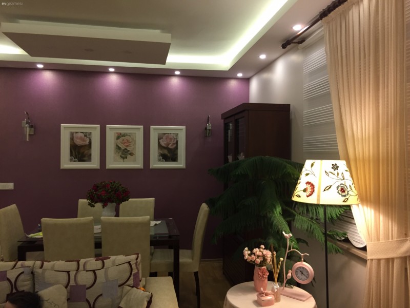 Salonum, mutfağım ve şirin başkonum