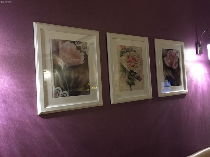 Salonum, mutfağım ve şirin başkonum