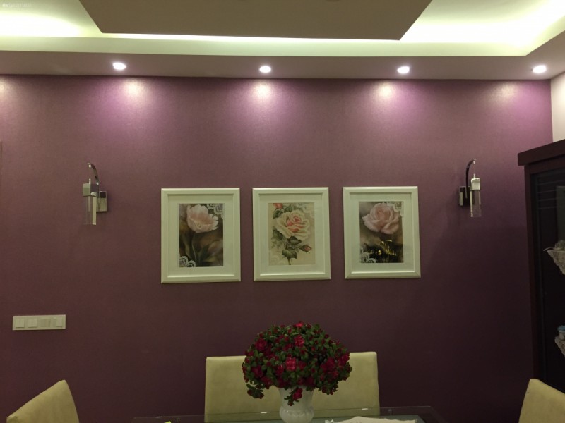Salonum, mutfağım ve şirin başkonum