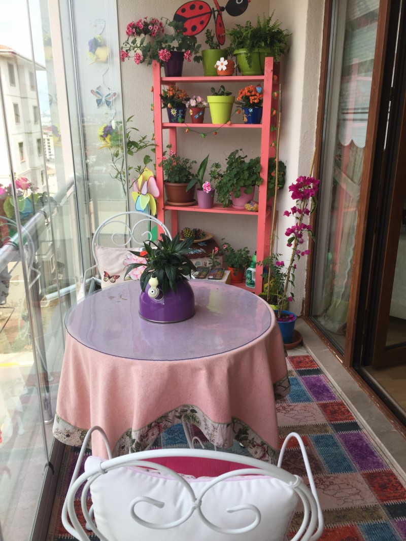 Salonum, mutfağım ve şirin başkonum