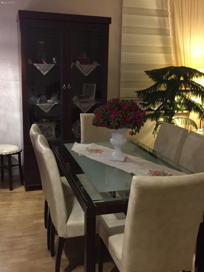 Salonum, mutfağım ve şirin başkonum