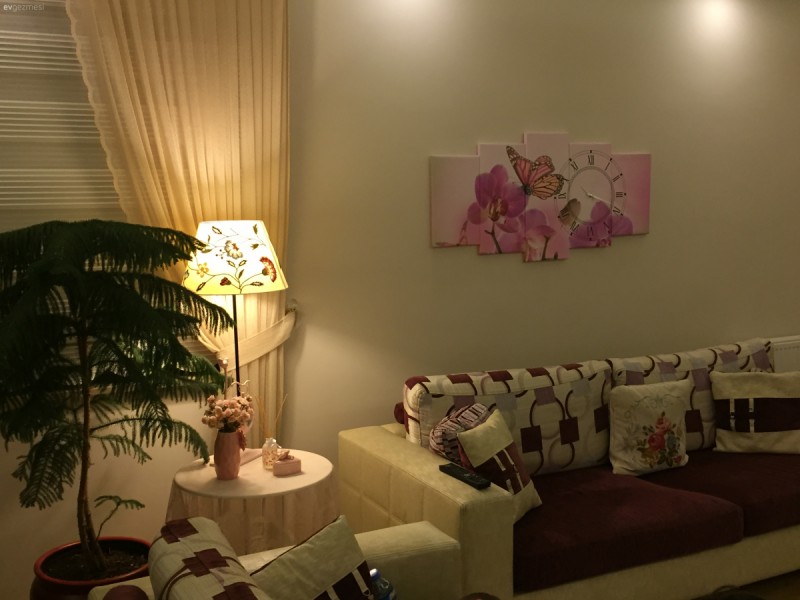 Salonum, mutfağım ve şirin başkonum